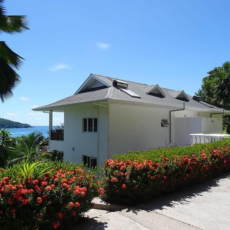 旗鱼海滩别墅酒店 Anse a La Mouche 外观 照片